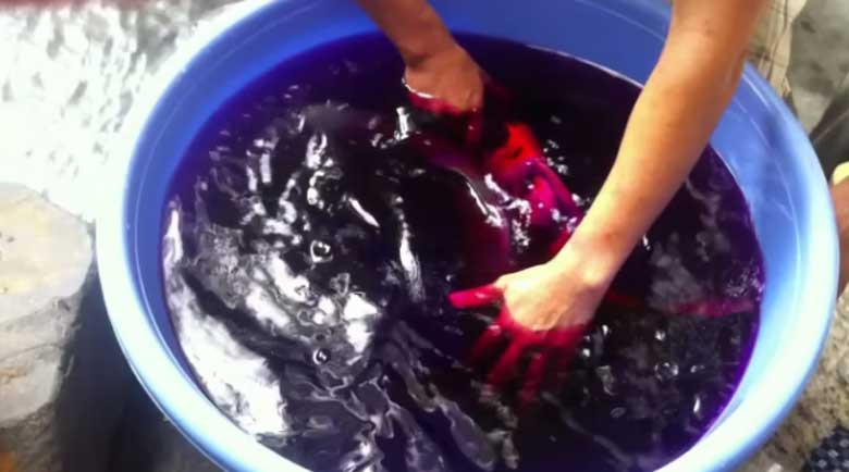 Quá trình tẩy vết mốc đen trên quần áo màu bằng thuốc tím và chanh