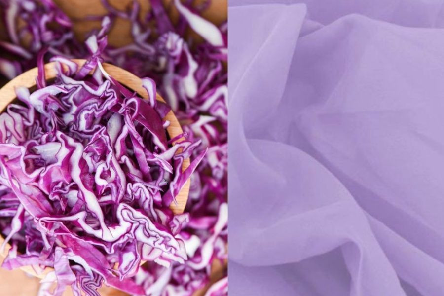 Bắp cải tím tươi được cắt lát, nguyên liệu tự nhiên để chế biến dung dịch nhuộm tạo màu xanh dương hoặc tím nhạt cho vải, một lựa chọn an toàn khi nhuộm quần áo tại nhà.