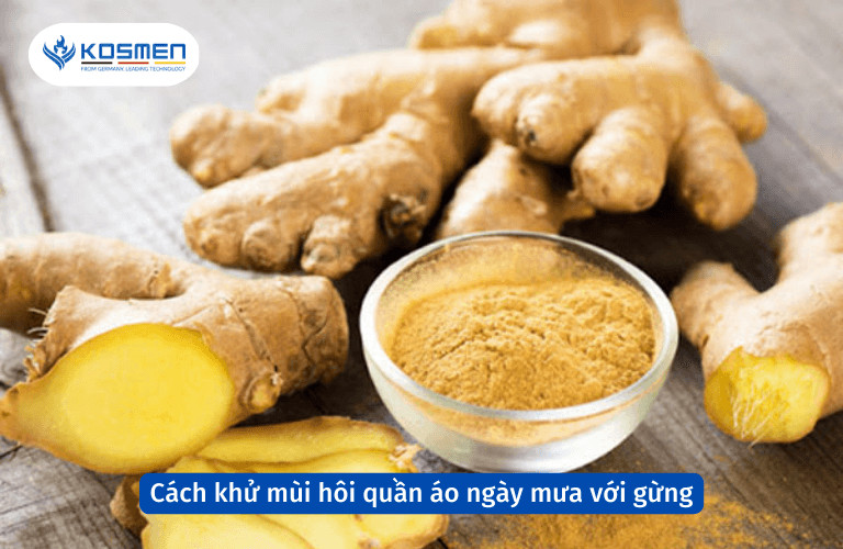 Gừng tươi giúp loại bỏ nhanh chóng các mùi hôi khó chịu trên quần áo, đặc biệt hiệu quả trong những ngày mưa.