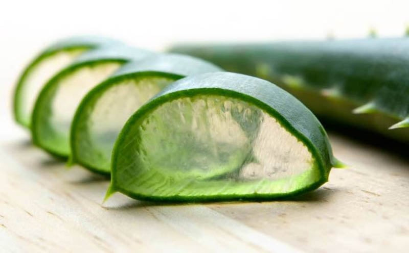 Sử dụng lá nha đam tươi để chà xát lên vết dầu mỡ cứng đầu trên quần áo, một cách tự nhiên để tẩy vết dầu mỡ lâu ngày.